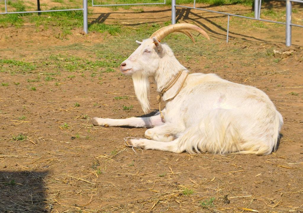 אולז'טין Ziolowa Dolina מראה חיצוני תמונה